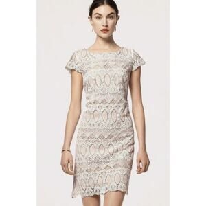 Eliza J White Scalloped Lace Eyelet Sheath Dress Womens Size 6 Glam Elegant